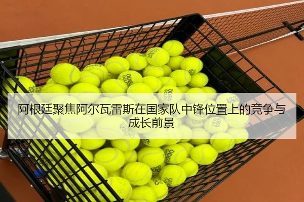 阿根廷聚焦阿尔瓦雷斯在国家队中锋位置上的竞争与成长前景