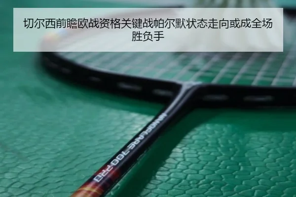 切尔西前瞻欧战资格关键战帕尔默状态走向或成全场胜负手