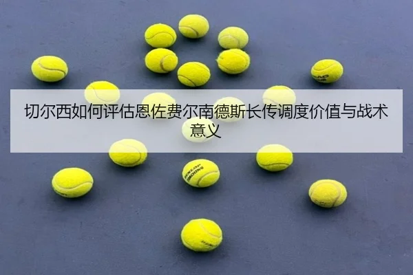 切尔西如何评估恩佐费尔南德斯长传调度价值与战术意义 | kaiyun